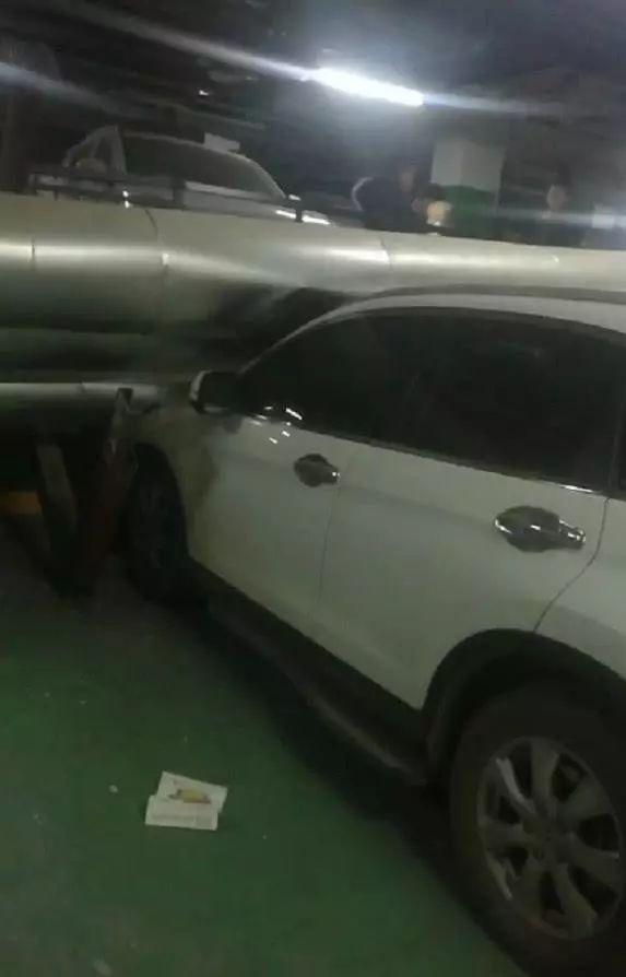 娱乐生活 第167页