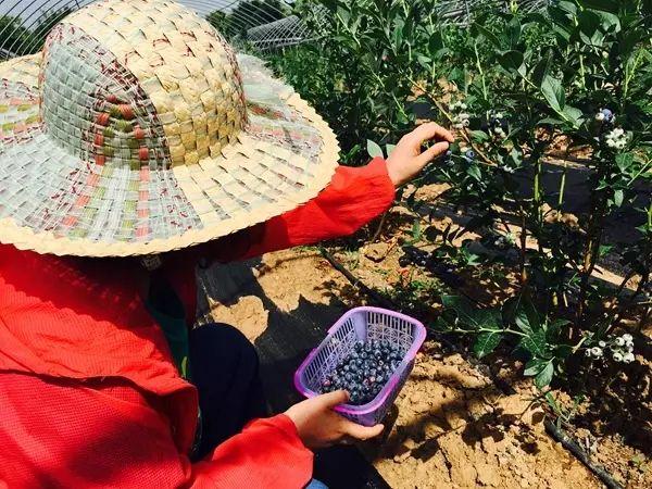 娱乐生活 第151页